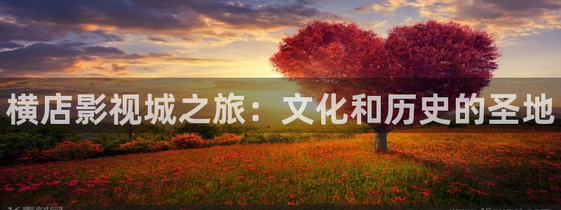 神马老子影视网