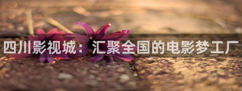 我不卡神马影院在线播放
