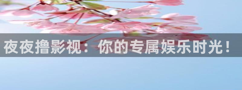 神马影院日韩三级：夜夜撸影视：你的专属娱乐时光！
