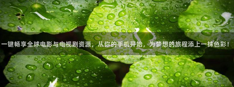 神马影院十八不禁：一键畅享全球电影与电视剧资源，从你的手机开始，为梦想的旅程添上一抹色彩！